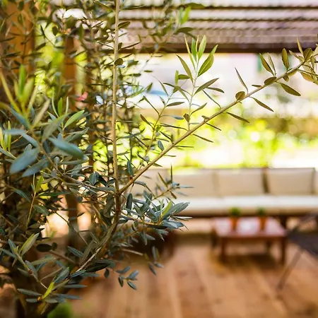 公寓 Luxurious With Private Garden 斯普利特