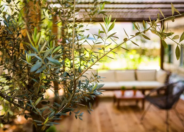 公寓 Luxurious With Private Garden 斯普利特