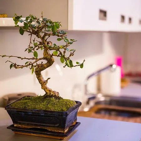 Luxurious With Private Garden Appartement Split